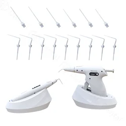 For Woodpeckers B&L Refine Dental Cordless Wireless Percha Gutta Pen Tip Heated Plugger Needle Endodontic Root Obturation System