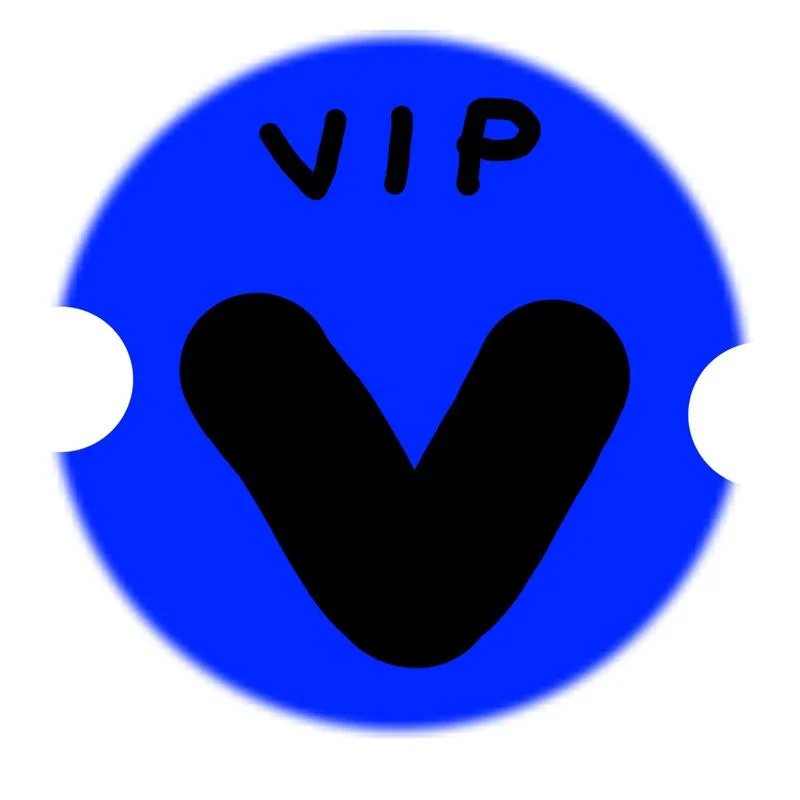 

VIP payment link（120PCS×1）