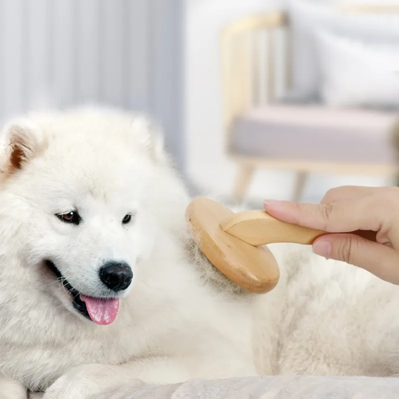 Brosse de toilettage pour animaux de compagnie avec manche en bois, peigne pour chien, peigne à manche confortable pour chats, ouverture des nœuds,