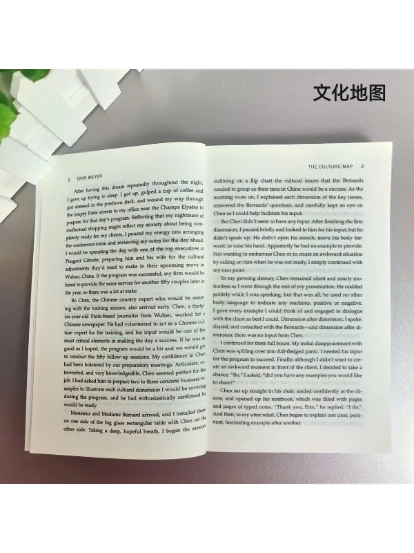 The Culture Map by Erin Meyer - Decoding How People Think & Work Worldwide