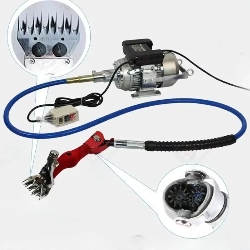 آلة قص شعر الأغنام والصوف مقص الماعز شعبية #6