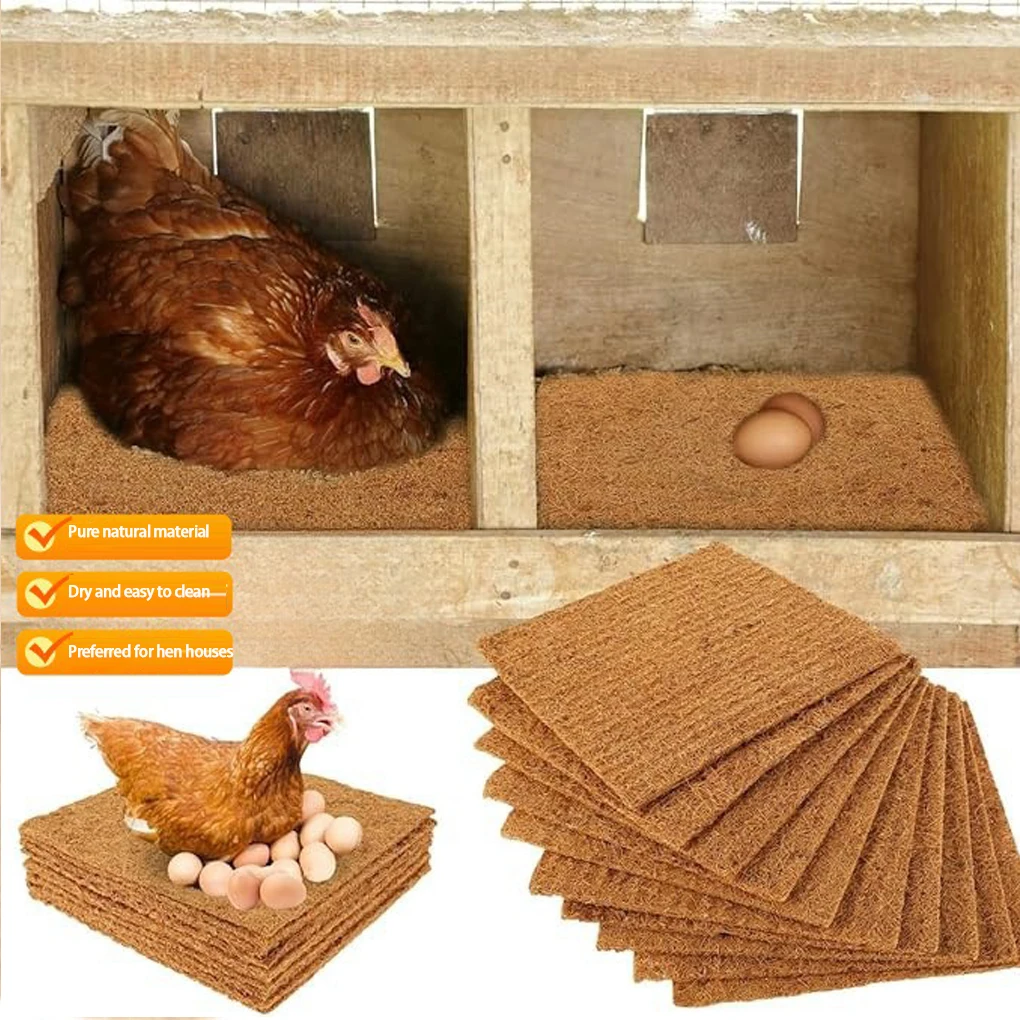 10Pcs Chicken Nesti… - image
