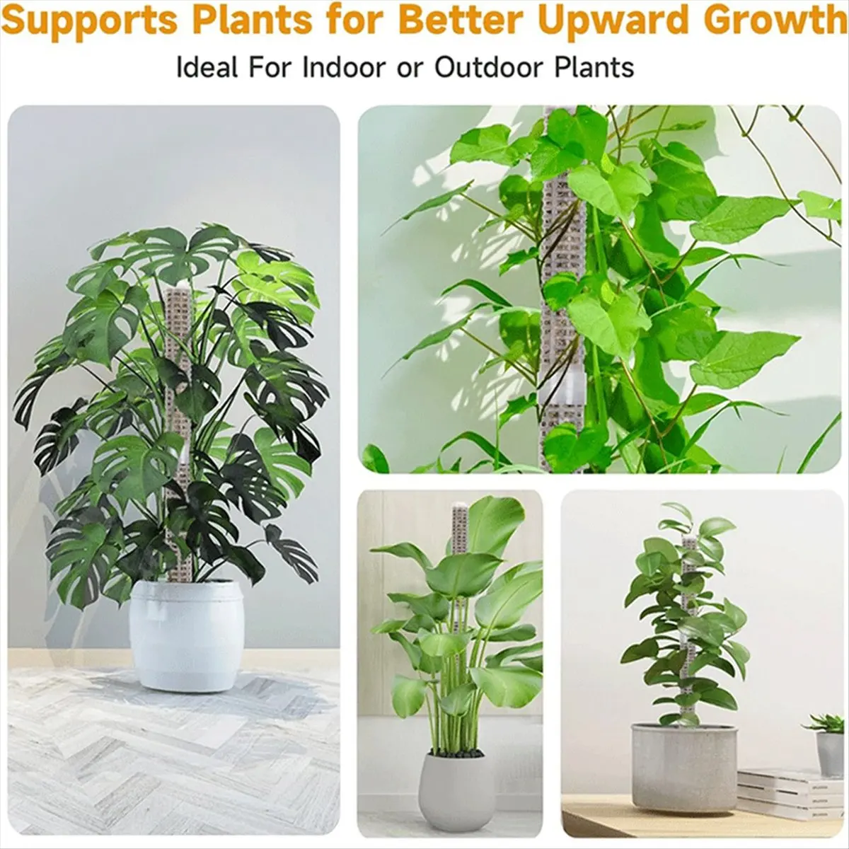 A013 Stackable Transparent Plastic Moss Pole for Plants Monstera , Indoor Plant Accessories Support Stakes, Plant Stakes