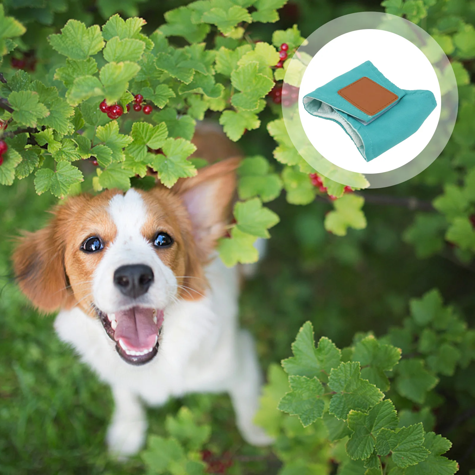 

Pet Dog Diaper Sanitary Physiological Pants Washable Male Dog Shorts Menstruation Underwear Size S Green Puppy Diapers Effective