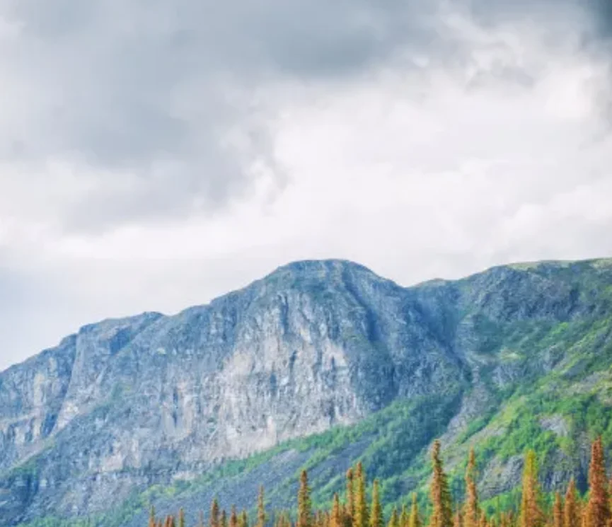 

2 пары 14-дюймовых 3-лопастных пропеллеров Gemfan 1410, нейлон из стекловолокна для радиоуправляемых мультироторных FPV Cinelifter и дронов дальнего действия