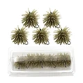 Brown L 5pcs