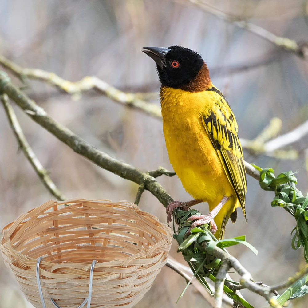 

8Pcs Sturdy Bamboo Bird Nests Woven Perching Houses for Garden Forest Balcony Outdoor Pet Birds Feeding Accessories