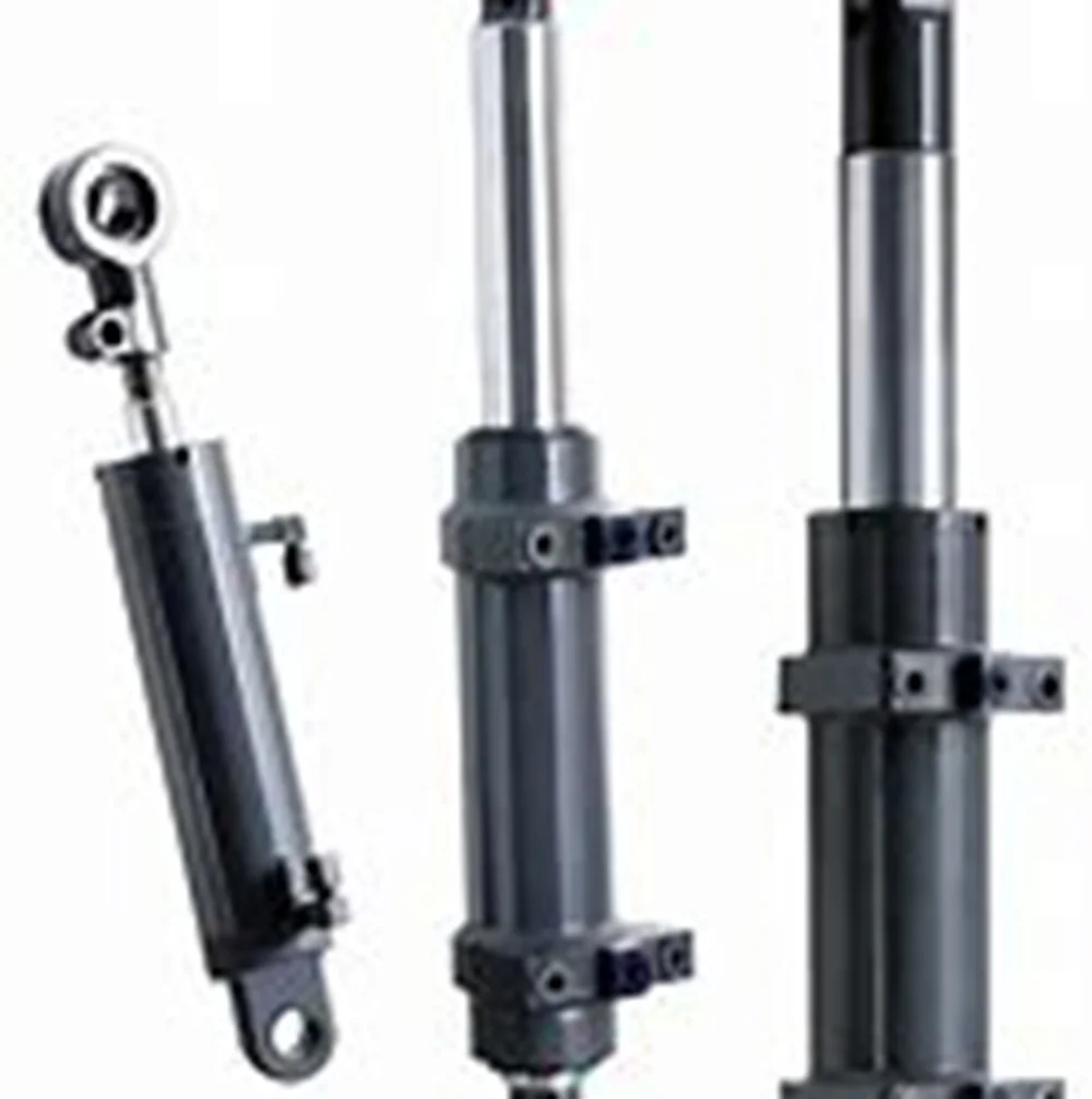 

Hydraulic Cylinder for Sale Customized Factory Mini Excavator Agriculture Car Lift Scissor Garbage Truck Steering Cheap Price