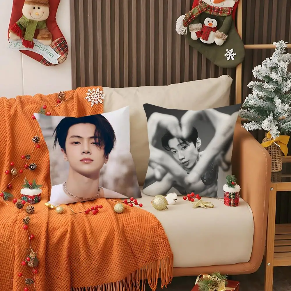 Jay P-Park SINGER Cushion Cover Short Plush Pillowcase Sofa Decorative Cushion Bed Pillow Gift Idea