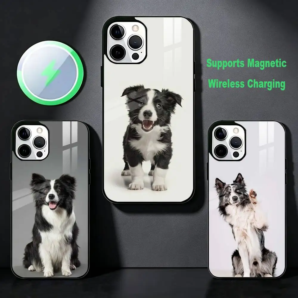 Stylish B-Border Collie-S  Phone Case For iPhone 17,16,15,14,13,12,Plus,Pro,Max For Magsafe Magnetic Wireless Charge