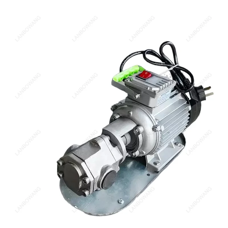 WCB-75 750W 220V Portable Cast Iron Self-Priming Gear Oil Pump, High Temperature High Viscosity Electric Gear Pump