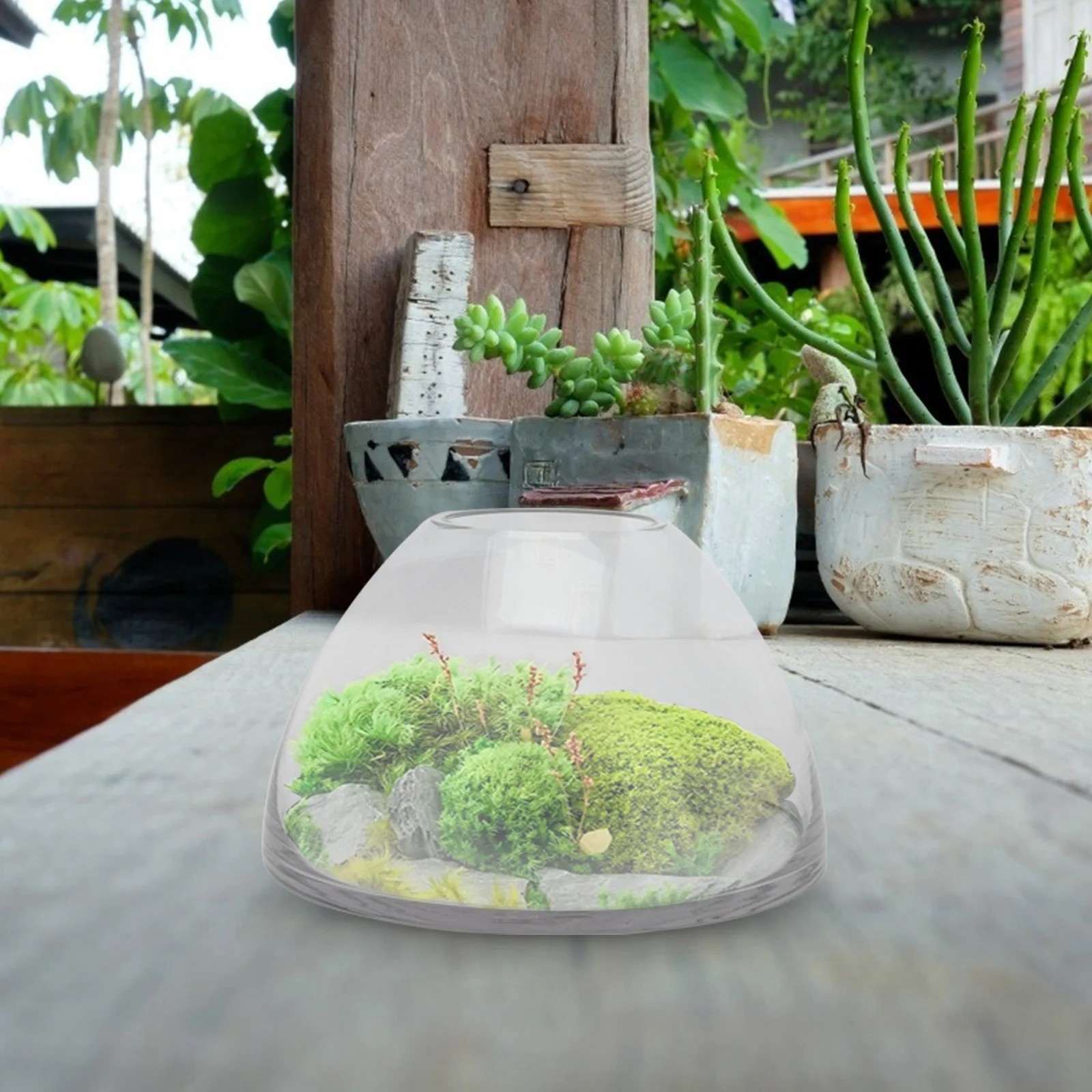 

Microlandscape Bottle Borosilicate Glass Transparent Landscape Container Decorative Vase Home Decor DIY Micro Landscape Holder