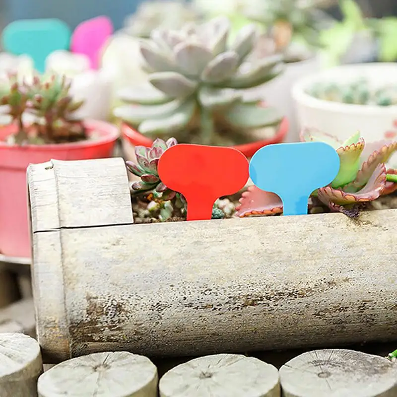 100pcs Garden Labels  Plant Classification Sorting Sign  Ticket Plastic Writing Plate Board Plug In Card Colorful  Signage