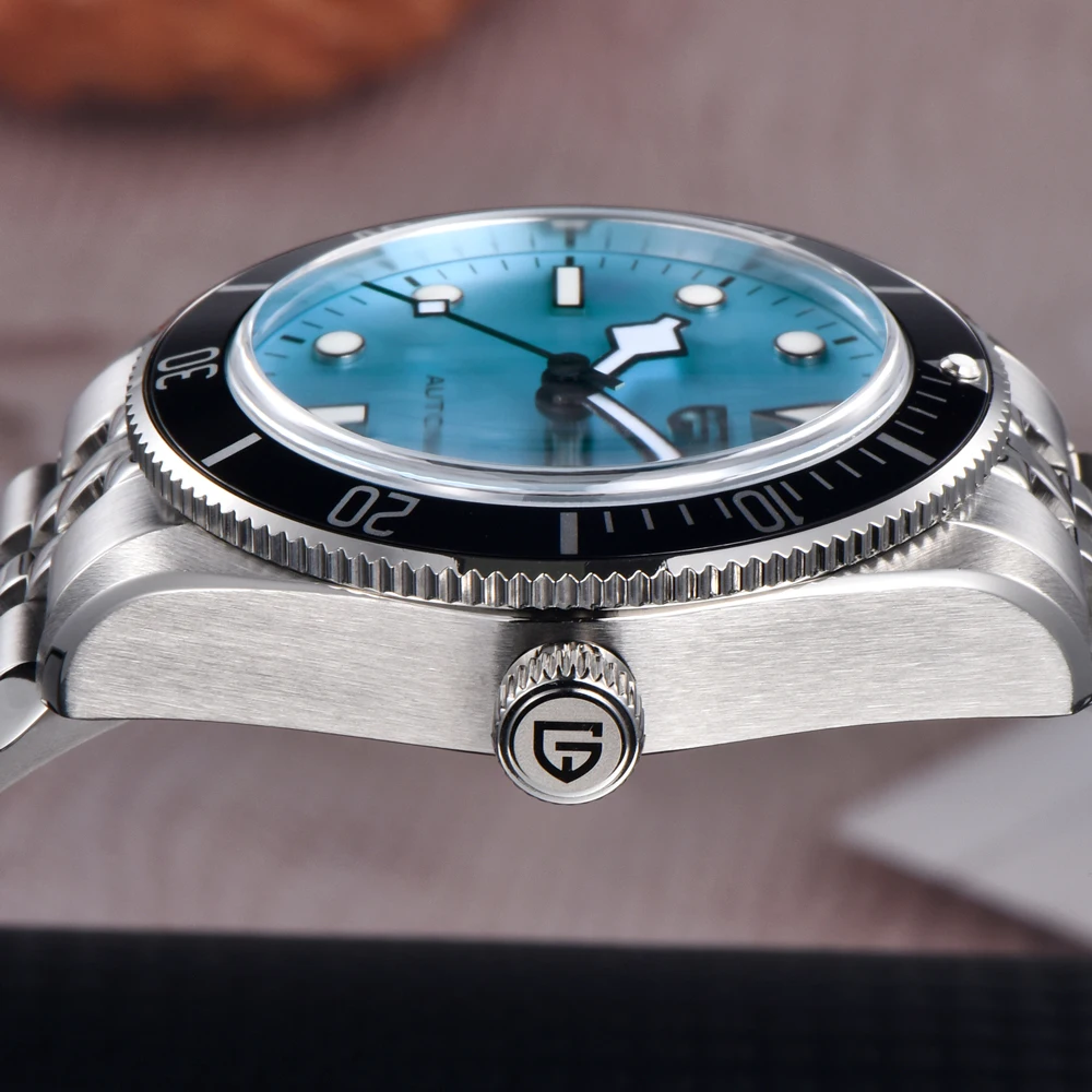 PAGANI DESIGN Jam Tangan Pria Mewah Jam Tangan Mekanis Baru 2025 untuk Pria Jam Tangan Otomatis Jam Olahraga Baja Tahan Karat Hadiah Pria