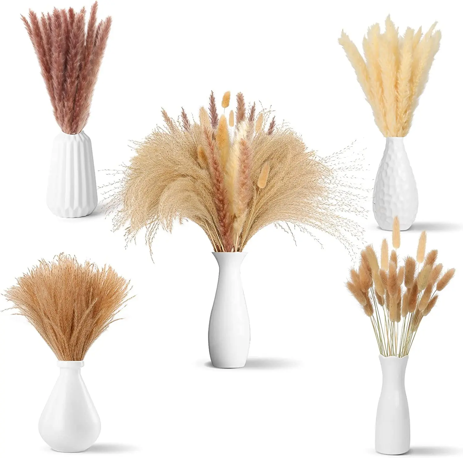 100Pcs/lot Cream Pampas Grass Fluffy Room Phragmites Decoration Natural Bunny Tail Grass Dried Flowers Bouquet Boho Home Decor