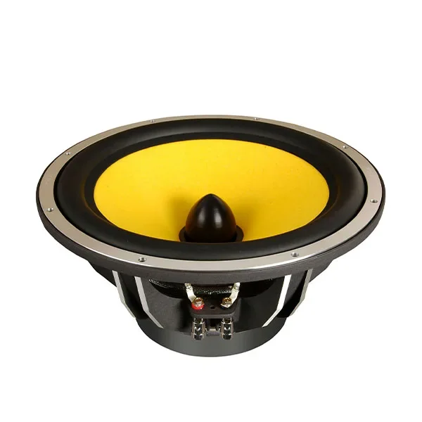 

Hi-Fi 10 inch car speaker F10S car woofer car audio