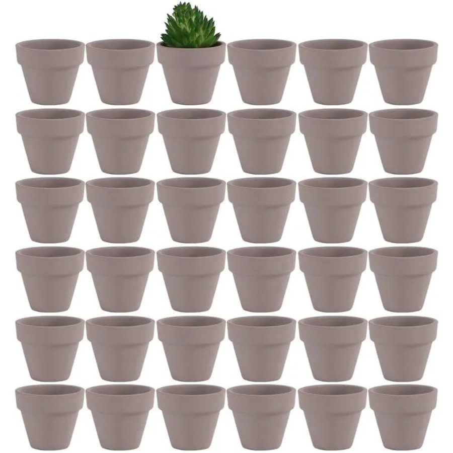 

1.9 Inch Tiny Grey Terracotta Pots Pack of 36Small Mini White Clay Pots with Drainage Holes Flower Nursery Terra Cotta Planter