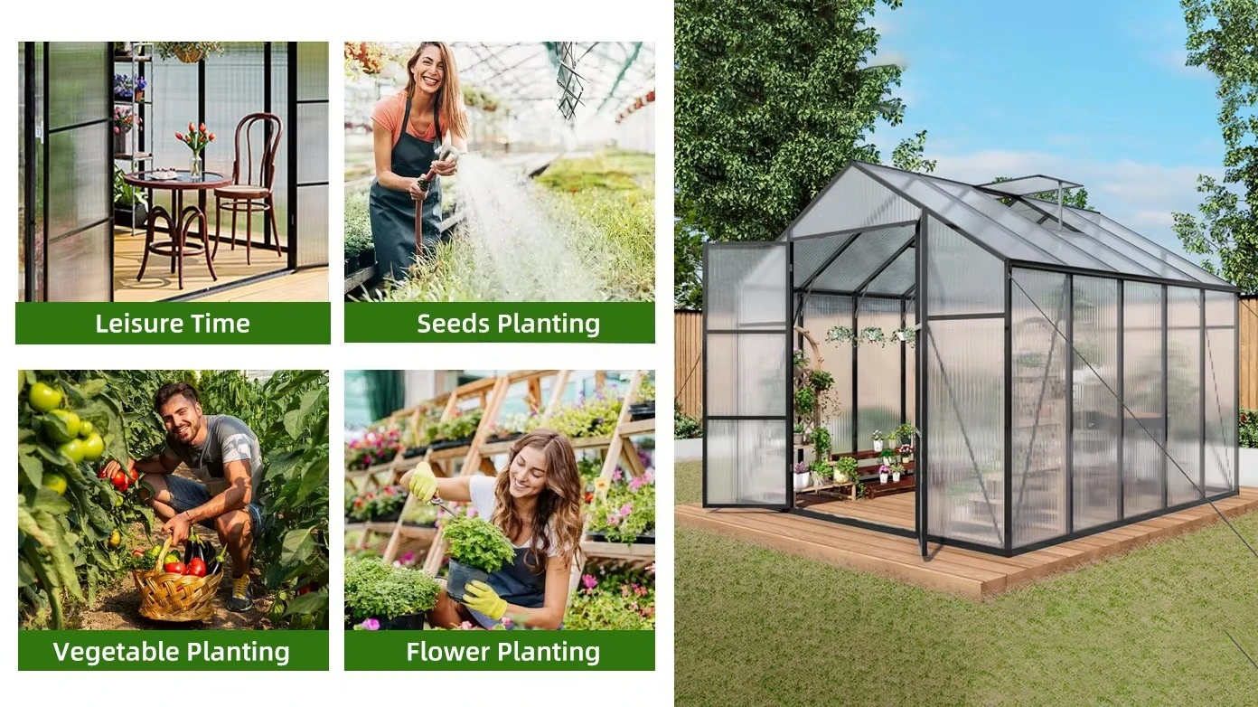 rt-8x10ft Walk Greenhouse Alum - огляд і ціна Polycarbonate Greenhouse Aluminum Frame