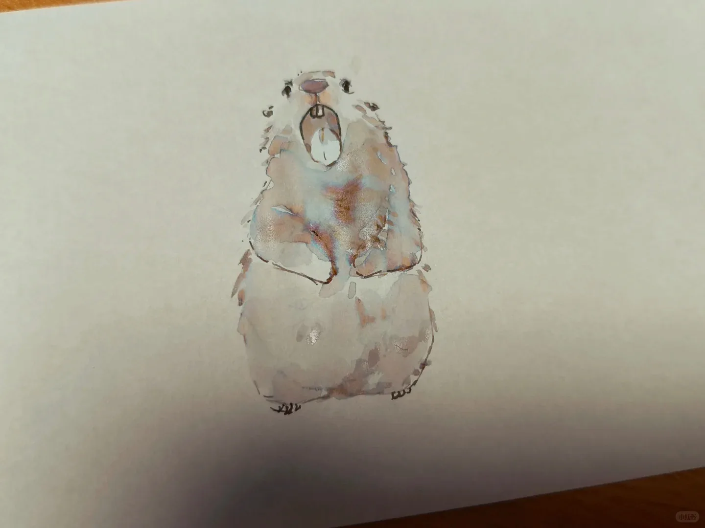 Hosia Ink Studio, An Nang, Cromatografia Gradiente Sheen Writing Pen Ink 30ml