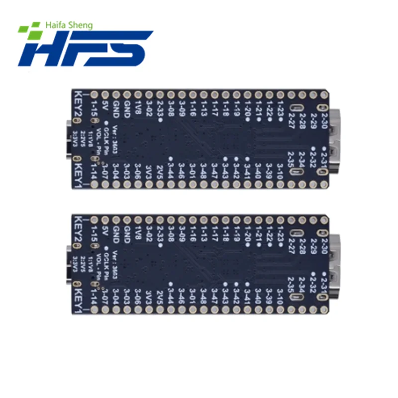 Tang Nano 4K Gowin Minimalist FPGA GoAI Develop-ment Board HDMI Camera With the line