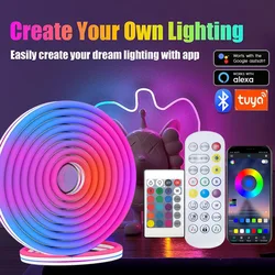 5V Tuya USB RGB LED Neon Strip Light Wifi Bluetooth-compatible Remote For Room Christmas LEDs Flexible Tape Waterproof Lighting