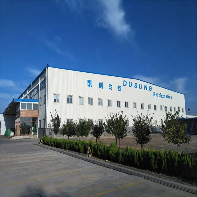 SD-700Q Factory Direct Single Side Arc Freezer and Supermarket Refrigerator and Refrigerator and Ice Cream Fridge