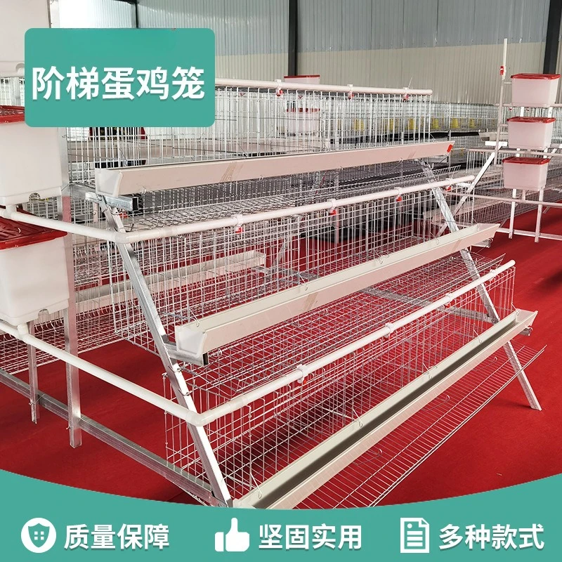 

Лестница для укладки клеток для курицы, специальная клетка, ступенчатое оборудование для курицы, разведение