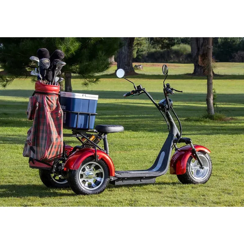 ZAIQU أستراليا سوق عربات كهربائية عالية الجودة بمقعدين نماذج مختلفة متينة مع جهد بطارية 60 فولت #4