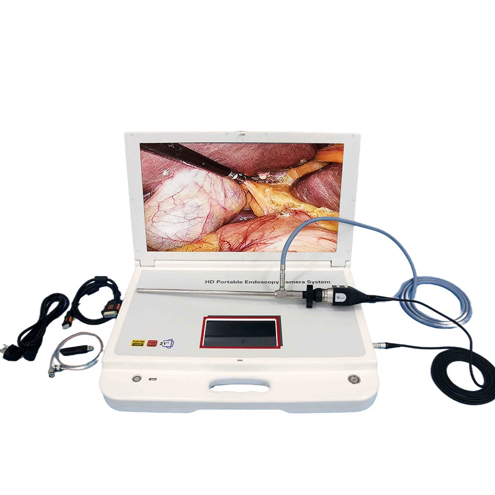 

LTES42 New Products 21" Full Touch Color Screen Portable FHD Endoscope Unit For Hospital