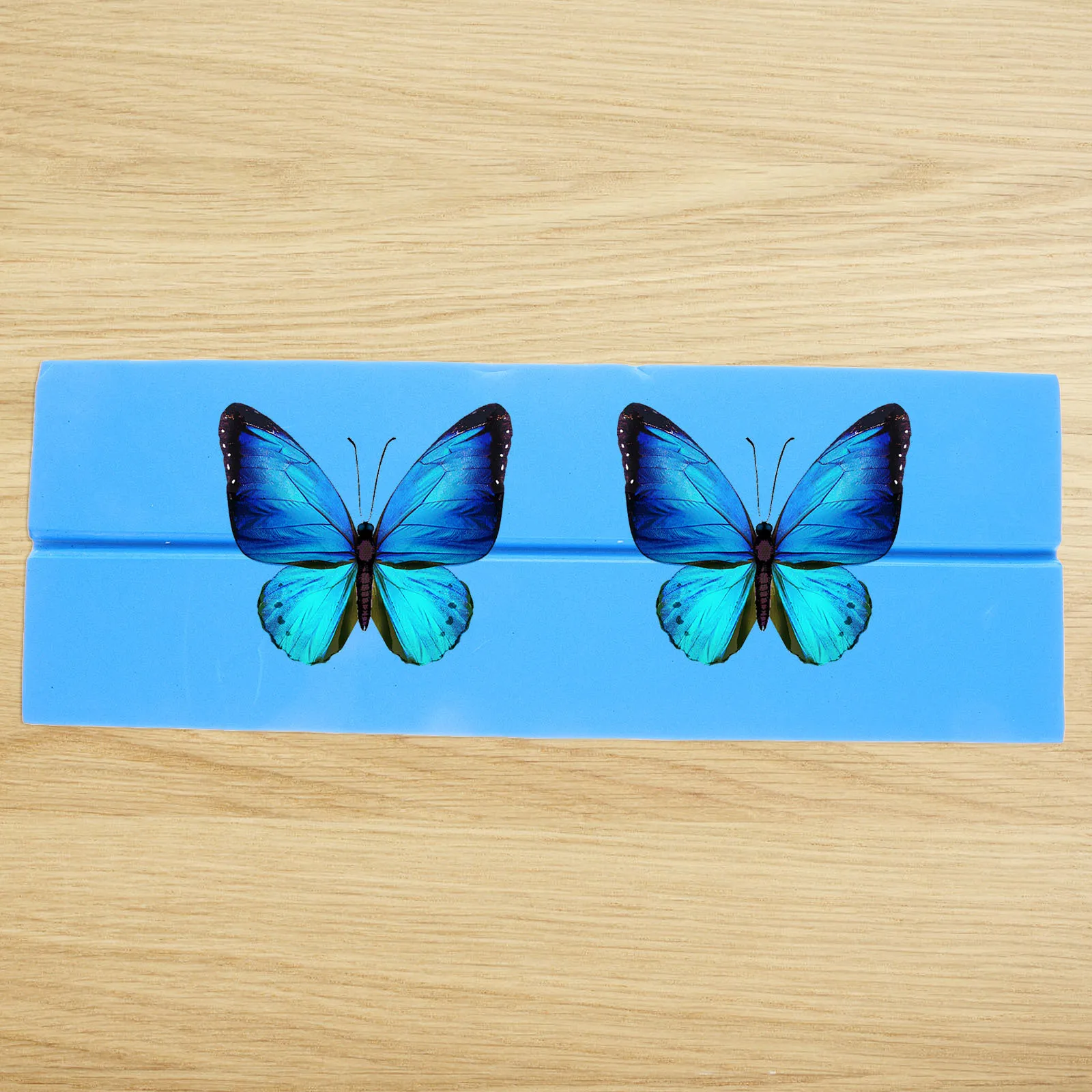 Butterfly Spreading Board Durable Foam Mounting Tool Compact Design Easy To Use Specimen Display Pinning Board For Insect