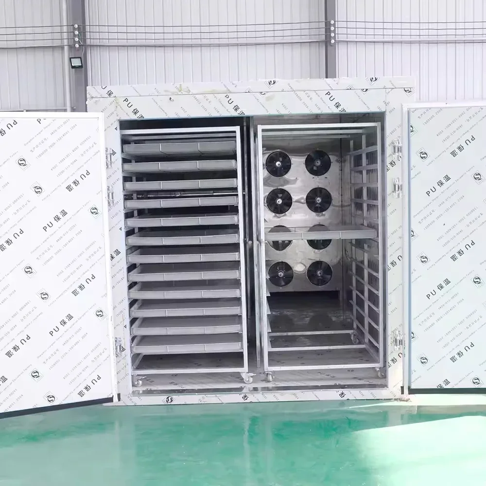 Fruit Vegetable Dryer High Quality for Home Sturdy Construction