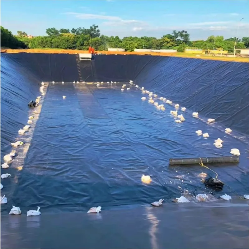 Heavy Duty HDPE Geomembrane Waterproof Sheet for Fish Farm Pond Dam Canal Landfill and Mining Applications Worldwide