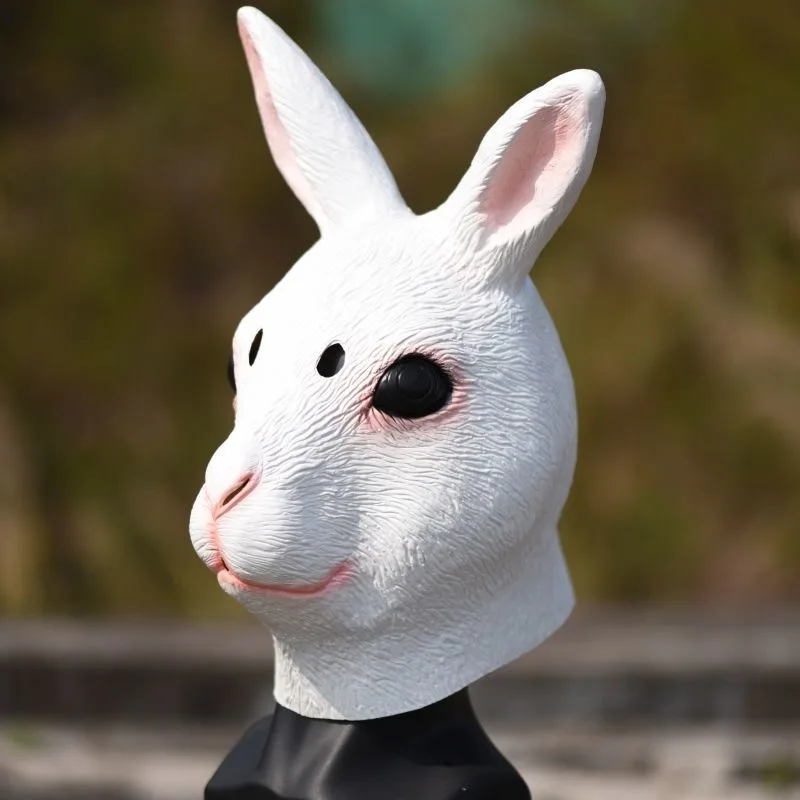أزياء أنيمي هارو أرنب التأثيرية فستان أبيض أرنب أغطية الرأس جوارب الأذن أطقم حفلات الهالوين وأعياد الميلاد بدلات موحدة