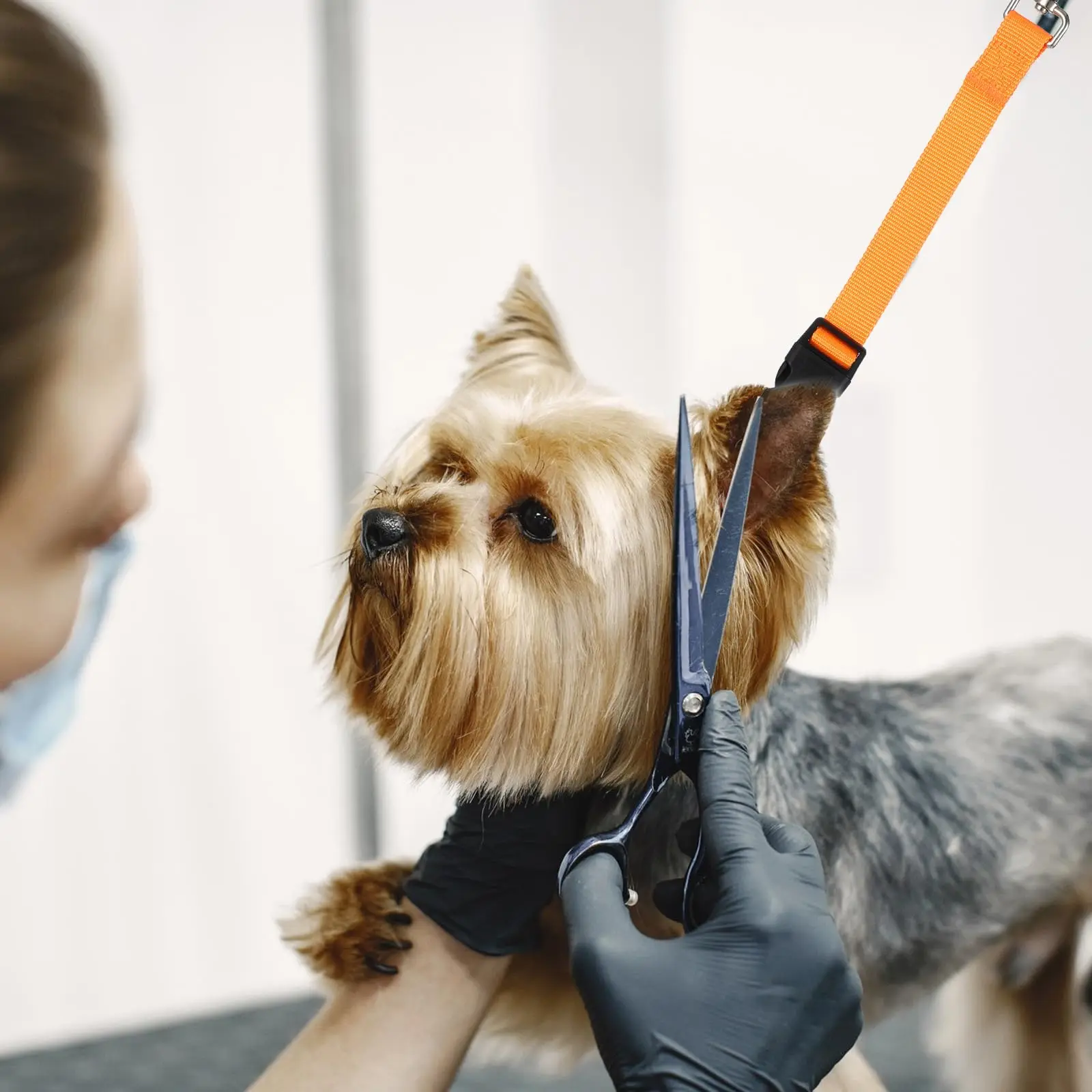 Verstellbarer Hunde-Pflegegurt, Anti-Flucht-Welpen-Badeleine für Haustierwäsche, Fixierriemen für Pflegetisch – Detail 3