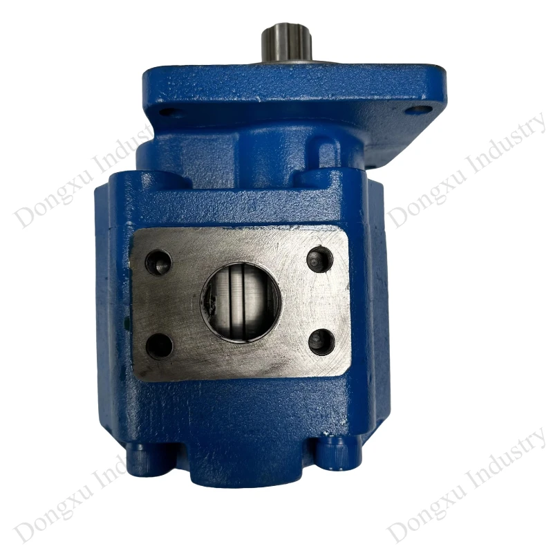 Loader Parts Hydraulic Pump 803004078 Gear Pump Factory P5100-F100CX Crane Parts Fast Delivery