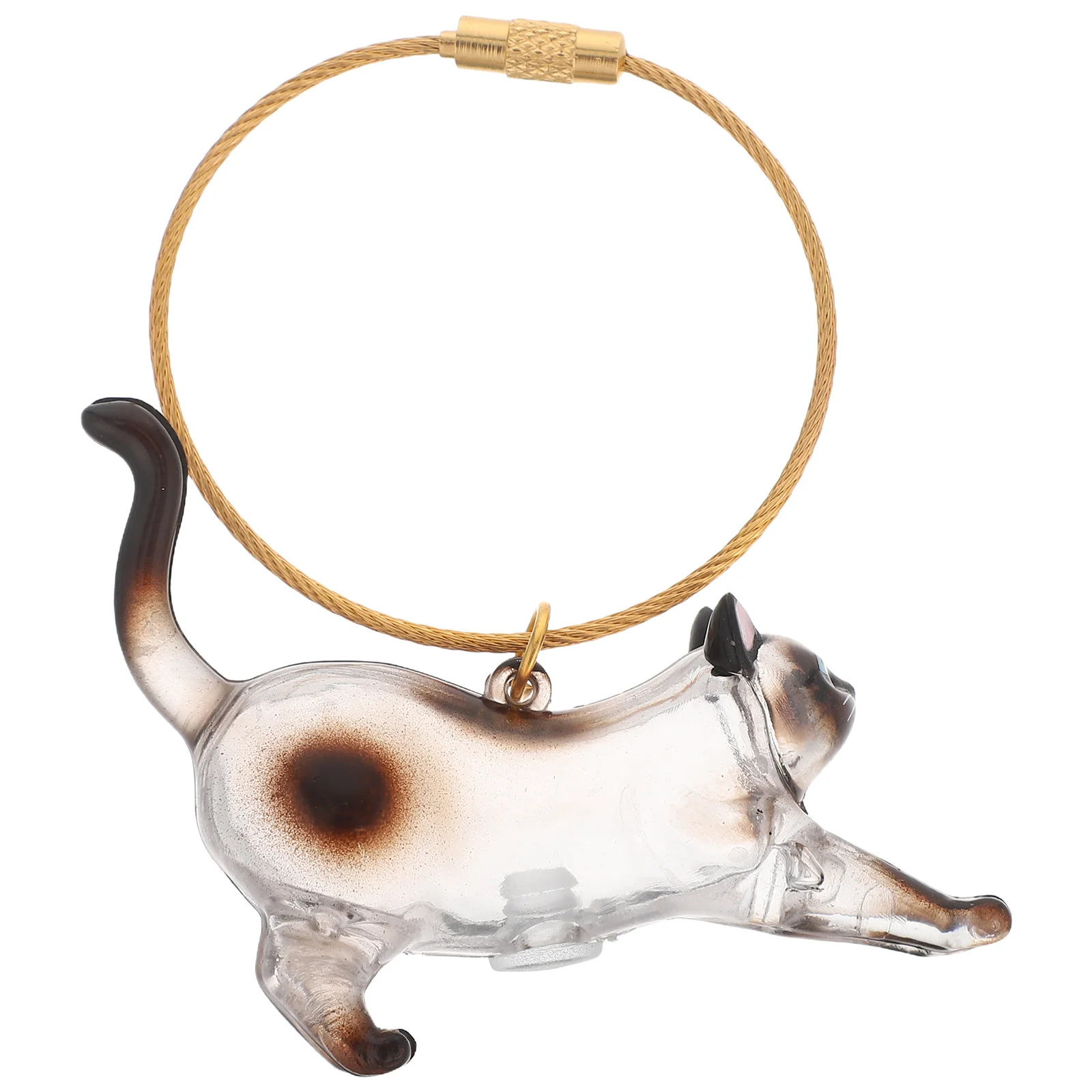 

Pet Hair Keepsake Keychain Clear Storage Box for Cats Cute Cat Hair Memory Capsule Lightweight Travel Organizer Kawaii