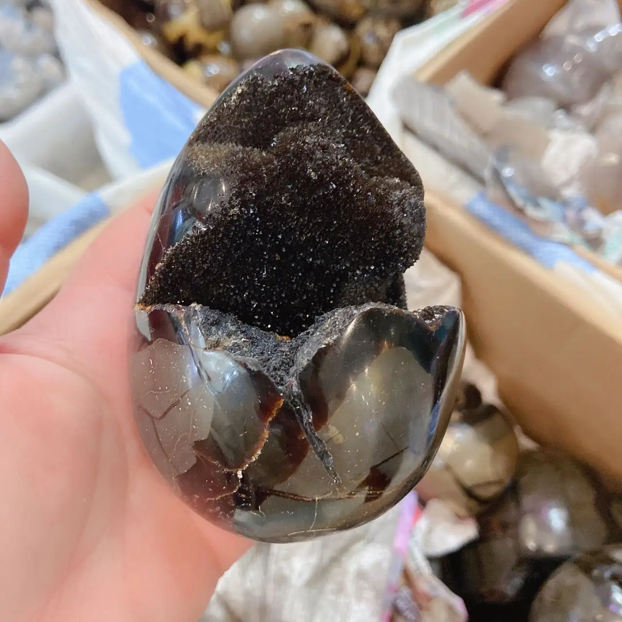 thumb