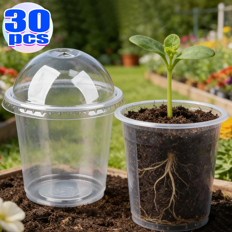 Transparent Seedling Cups with Lid Plant Germination Nursery Pots Plastic Seed Starter Containers for Succulent Vegetable Flower