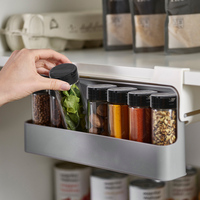 Kitchen Supplies Storage Seasoning Bottle Organizer Rack Under Desk Drawer Hidden Spice Bottle Storage Rack Self-adhesive
