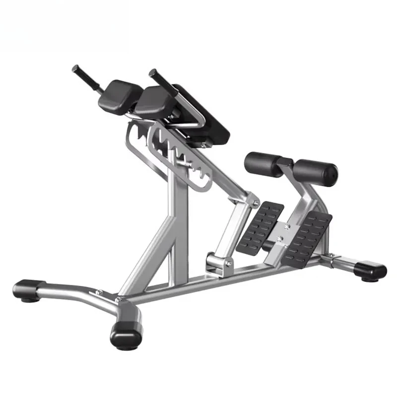 Stylish Customizable Roman Chair for Home Workout Body Conditioning Benches and Shelves