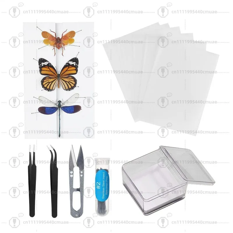 Flexible Entomology Kit Specimen Tools for Classroom Teaching insect needle spreader board Butterfly Collection Specimen tool