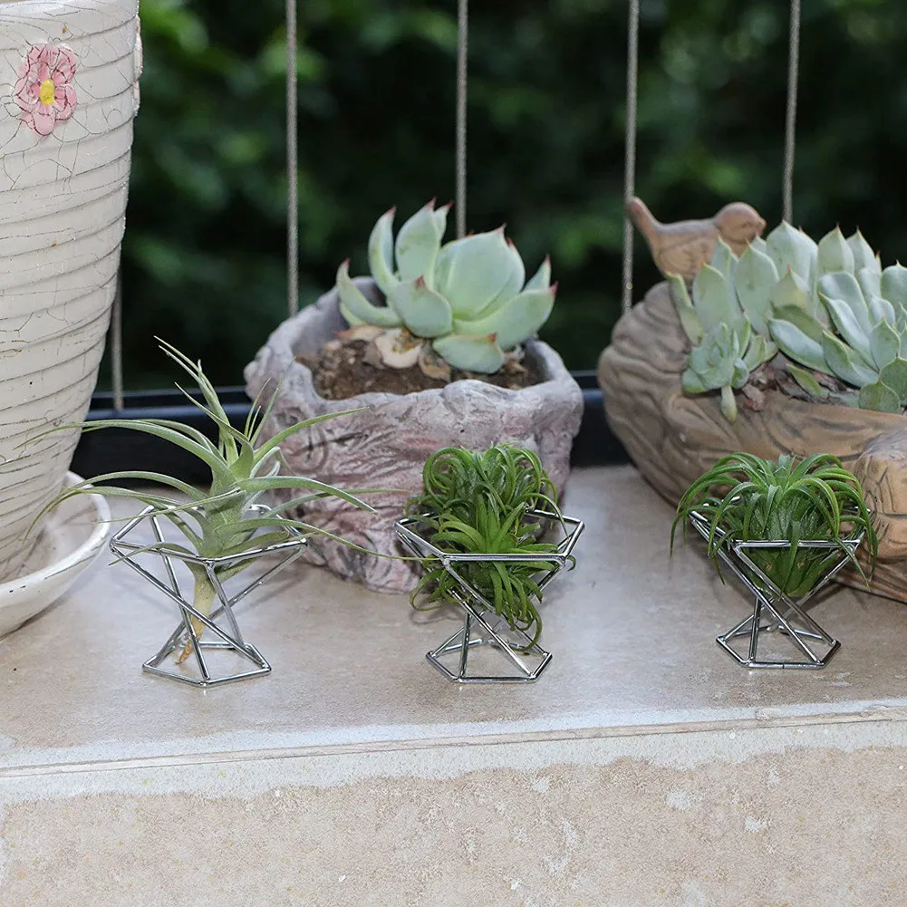 ABKO-Pack 5 Air Plant Holder Air Plants Holders Tillandsias Display Air Purifying Plant Container Air Fern Stand, Silver