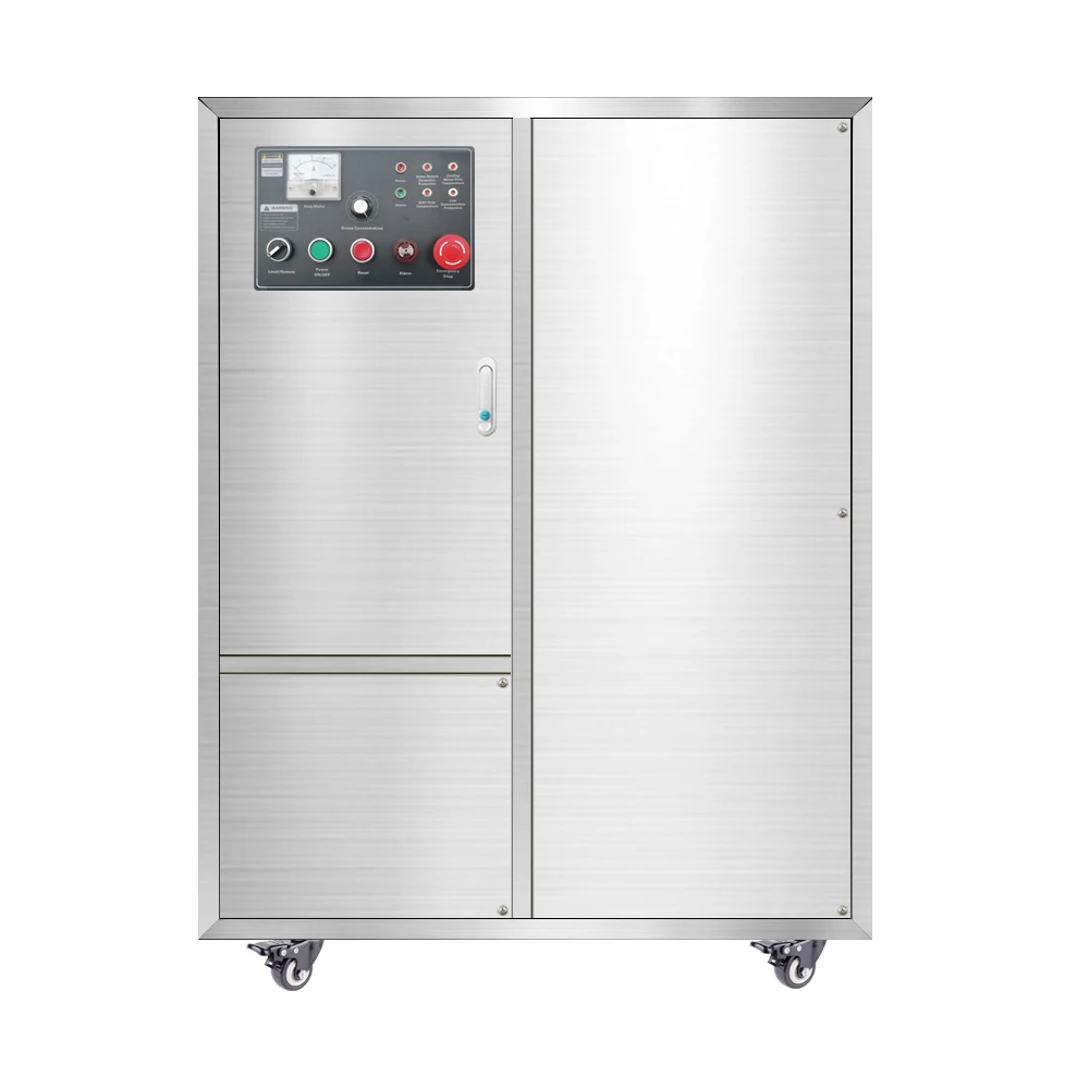 Flygoo Industrial 300G Ras Fish Aquaculture System High Concentration Ozone Generator Stainless Steel Reverse Osmosis PLC Water