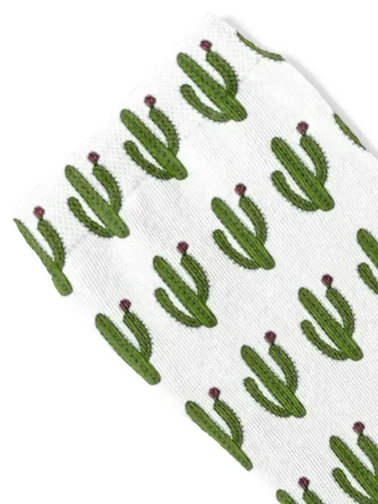 Southwest Cartoon Saguaro Cactus Flower Socks snow warm winter designer hockey Socks Women's Men's