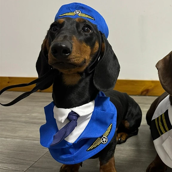 Halloween Pet Cosplay Costumes Dachshunds Dogs Funny Clothes Pets Funny Captain Uniforms Pilots Pet Dogs Party Role Playing