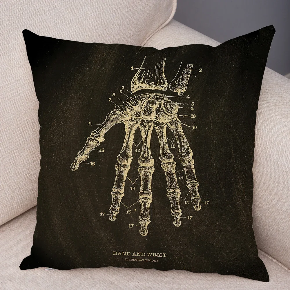 Vintage Anatomical Skeleton Chalkboard Cushion Cover for Sofa Home Car Decor Skull Pillowcase Soft Plush Throw Pillow Case