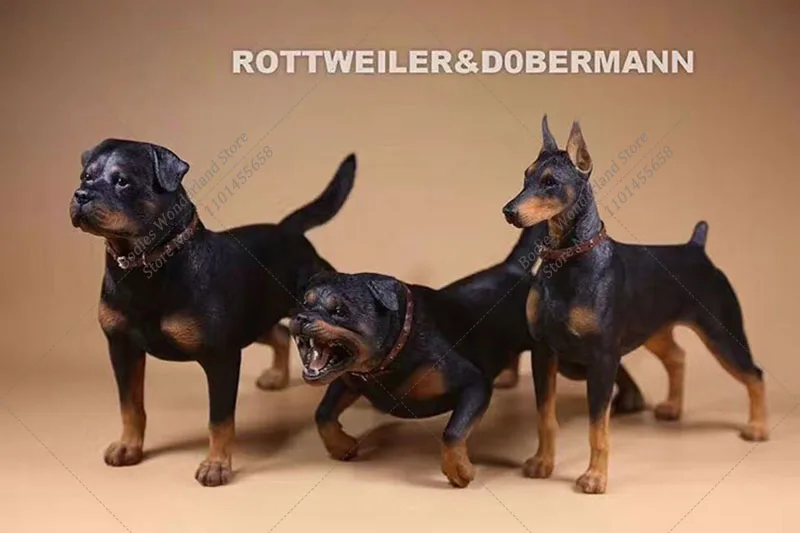 Akcesoria do scenek figur w skali 1/6 Symulacja Zwierzęcia Mr. Z Model Zwierzęcia Nr 55 Model Policjanta Rottweilera dla 12-calowej Figurki Akcji