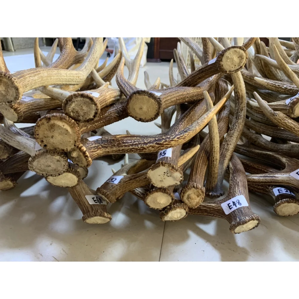 زخرفة فرع قرن الوعل سيكا الغزلان الطبيعي، سقيفة بشكل طبيعي، عنصر حرفي، يرجى الاتصال بالبائع قبل الطلب #4