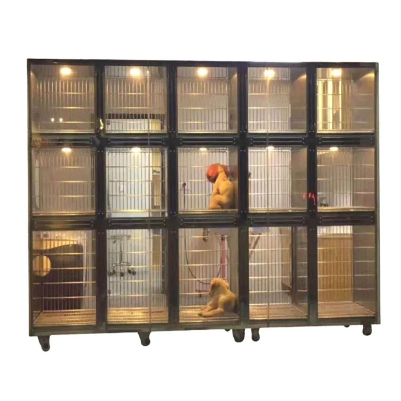 One-stop veterinary pet store small animal display cabinet customization