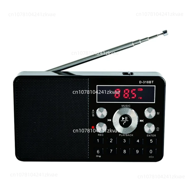 D-318BT FM Radio New High Quality Mini Wireless Rechargeable Mp3 Music Portable Receiver With TF Card 8G